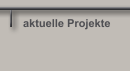 aktuelle Projekte